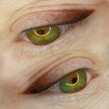 Перманентный макияж бровей
                    Мастер перманентного макияжа Татьяна Одесса