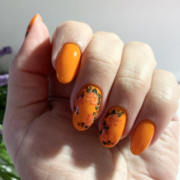 Ирина Примина, Бровары Фото - 84