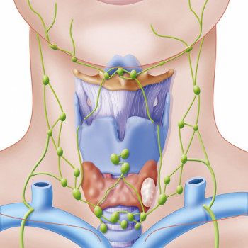 Щитовидная Железа