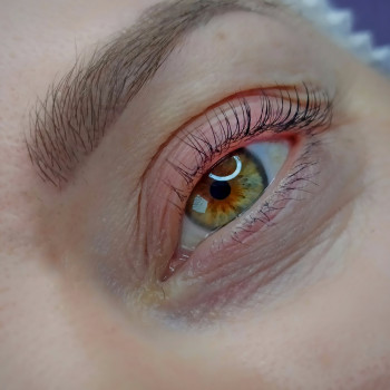 Ілона Карпачова, Бровари Фото - 11