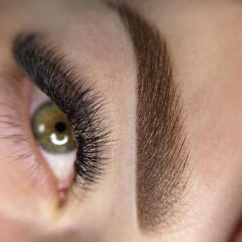 Ніжні тіньові бровки