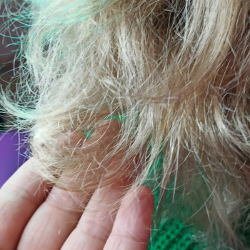 Поліровка волосся
                    Мастер по наращиванию волос Ілона Бровары