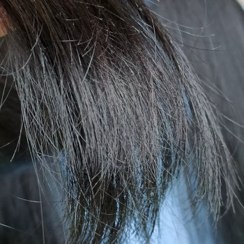 Поліровка волосся
                    Мастер по наращиванию волос Ілона Бровары