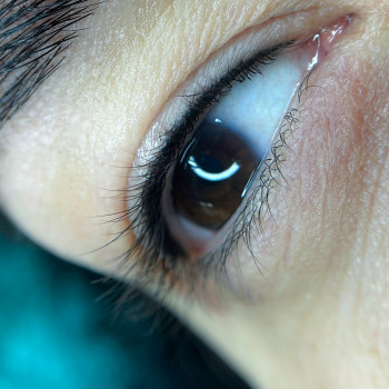 Перманент міжвійки
                    Бровист Елена Днепр