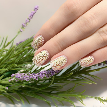 Ирина Примина, Бровары Фото - 79