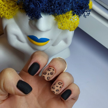 Олена Матвієнко, Киев Фото - 86