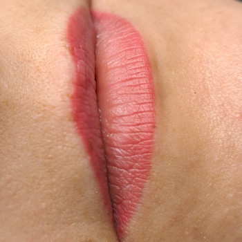 Заживші губи