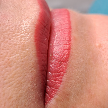 Заживші губи