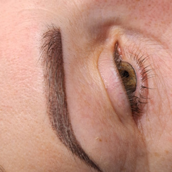 Заживші брівки