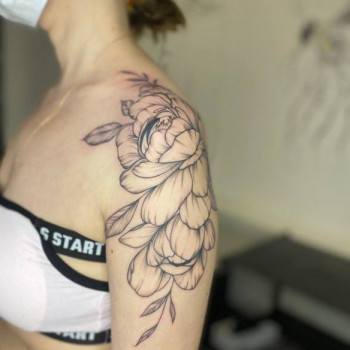 Пиони лайнворк