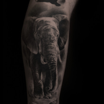 Ярік Флейва, Черкаси Фото - 7