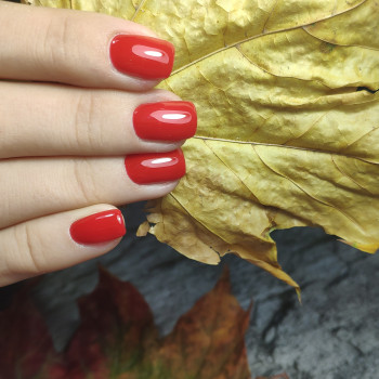 Юлия Дяченко Купріян, Полтава Фото - 5