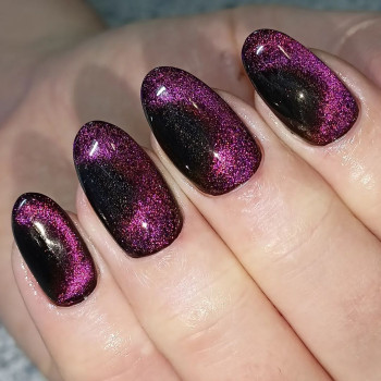 Люкс, Каменское Фото - 14