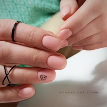 Кутикула, Сумы Фото - 16