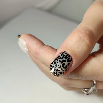 Palladio nails-room, Київ Фото - 14