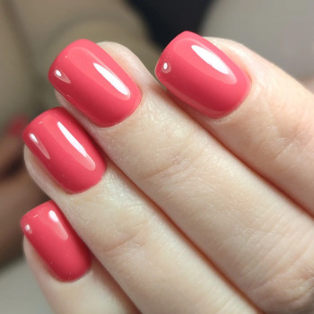 Palladio nails-room, Київ Фото - 15