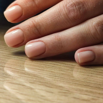 Птаха, Львів Фото - 18