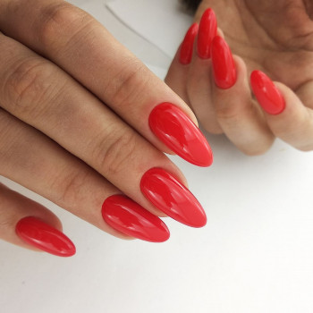 Milano Nails, Київ Фото - 21