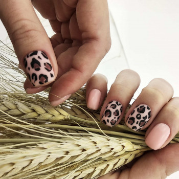 Milano Nails, Київ Фото - 22