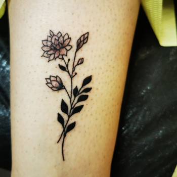 Ирина Онищенко, Кропивницький Фото - 1