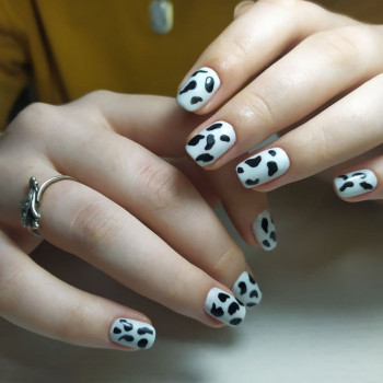 Школа манікюру та педикюру PRIMA, Київ Фото - 7