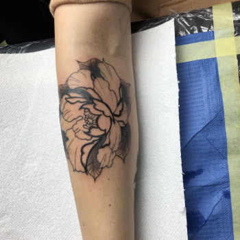 Ярослав Кострубіцький, Василькíв Фото - 27