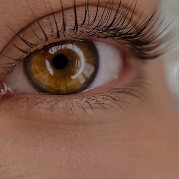 Ламінування вій
                    Майстер перманентного макіяжу Ольга Дніпро