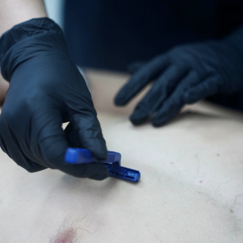 Cef Lab Salon, Киев Фото - 17