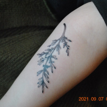 Анна Шульц, Рівне Фото - 11