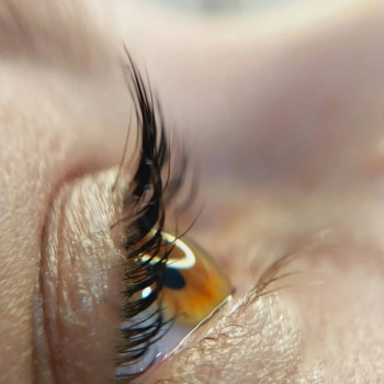 Ламінування вій
                    Лешмейкер Юлия Кривой Рог