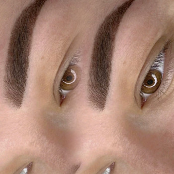 Коррекция перманентного макияжа
                    Мастер перманентного макияжа Татьяна Запорожье