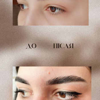 Корекція та фарбування брів професійною фарбою Elan
                    Мастер депиляции Світлана Луцк