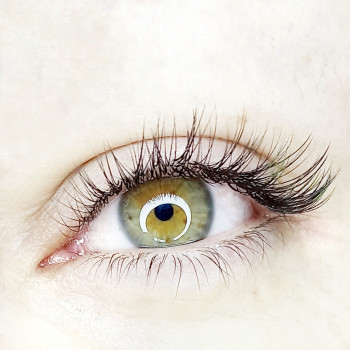 Лисичка класика