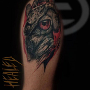 Edelmann Studio, Харьков Фото - 8