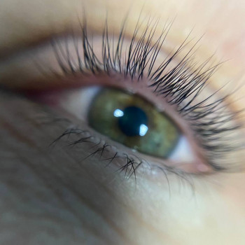 Ламінування вій
                    Салон красоты Мастерская красоты "Queen" Киев