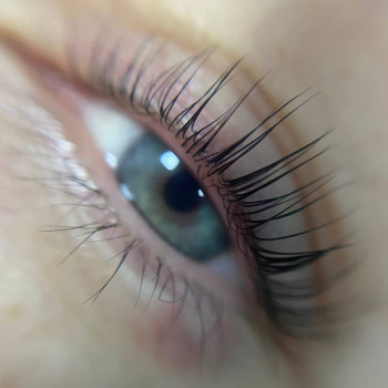 Ламінування вій
                    Салон красоты Мастерская красоты "Queen" Киев