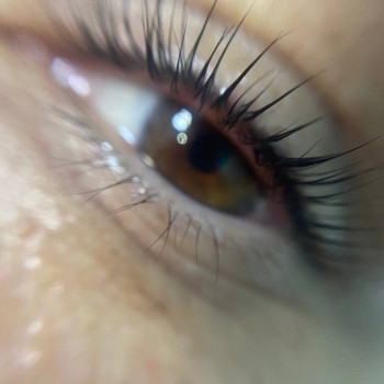 Ламінування вій
                    Салон красоты Мастерская красоты "Queen" Киев