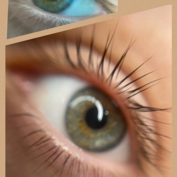 Ламінування вій
                    Салон красоты Мастерская красоты "Queen" Киев