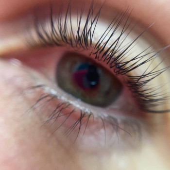 Ламінування вій
                    Салон красоты Мастерская красоты "Queen" Киев