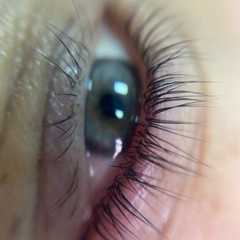 Ламінування вій
                    Салон красоты Мастерская красоты "Queen" Киев