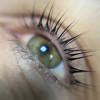 Ламінування вій
                    Салон красоты Мастерская красоты "Queen" Киев