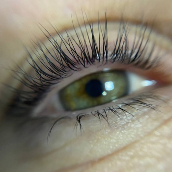 Ламінування вій
                    Салон красоты Мастерская красоты "Queen" Киев