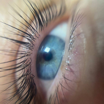 Ламінування вій
                    Салон красоты Мастерская красоты "Queen" Киев