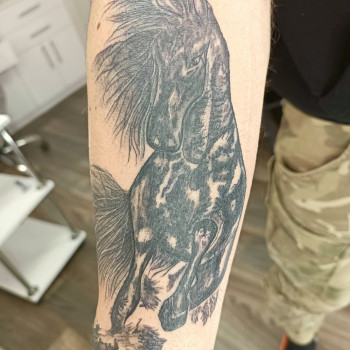 Тату кінь, фото - Майстер перманентного макіяжу Світлана Маркіна