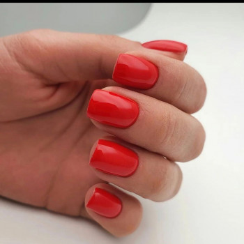 Алла Родзевич, Київ Фото - 7