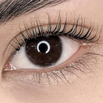 Ламінування війок класичне та з відновленням