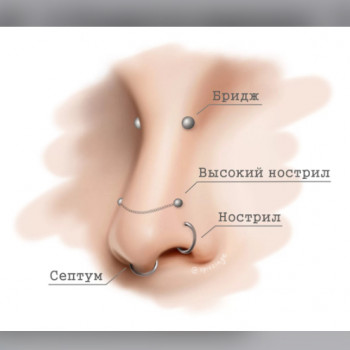 Варианты пирсинга носа