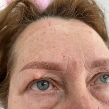 Пудровое напыление бровей