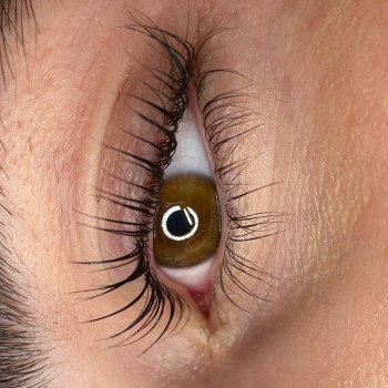 Ламінування вій
                    Салон красоты Зефір Львов