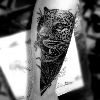 Влад Харвестер, Полтава Фото - 31